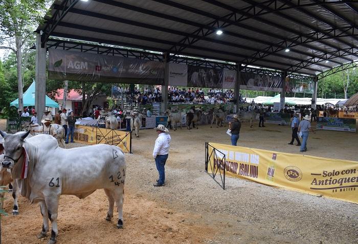 Hoy es el día central de la Feria con eventos para todos los gustos
