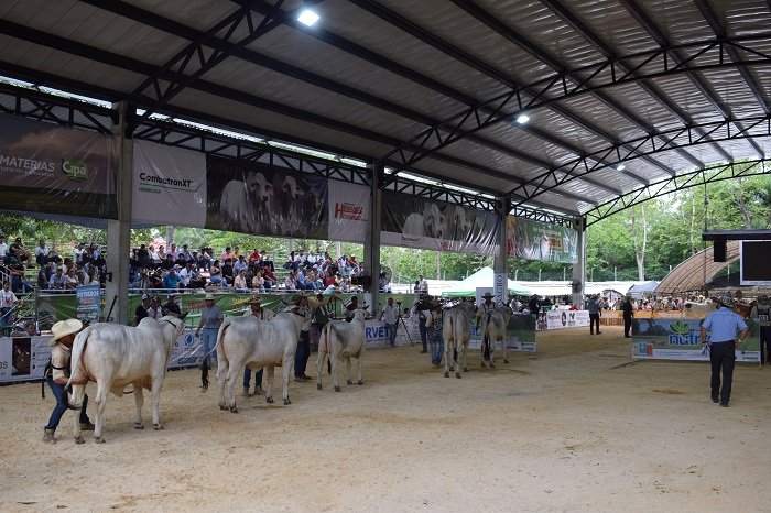 Todos fueron ganadores en la Feria Exposición Agropecuaria de de Sincelejo 2025