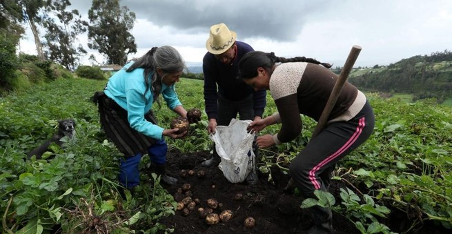 Comercio y el agro jalonaron el PIB del primer trimestre