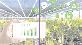 Primera IA agrícola en Colombia