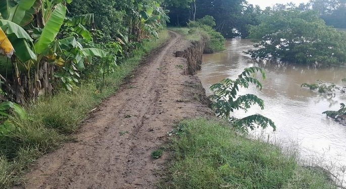 La CVS inspeccionó problema de erosión en zona rural de San Pelayo