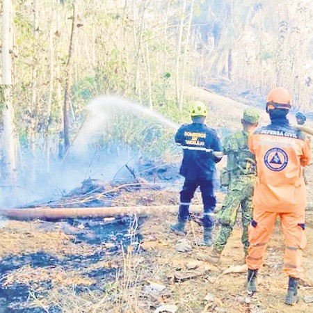 En Sucre la deforestación se ha acentuado en los últimos 20 años