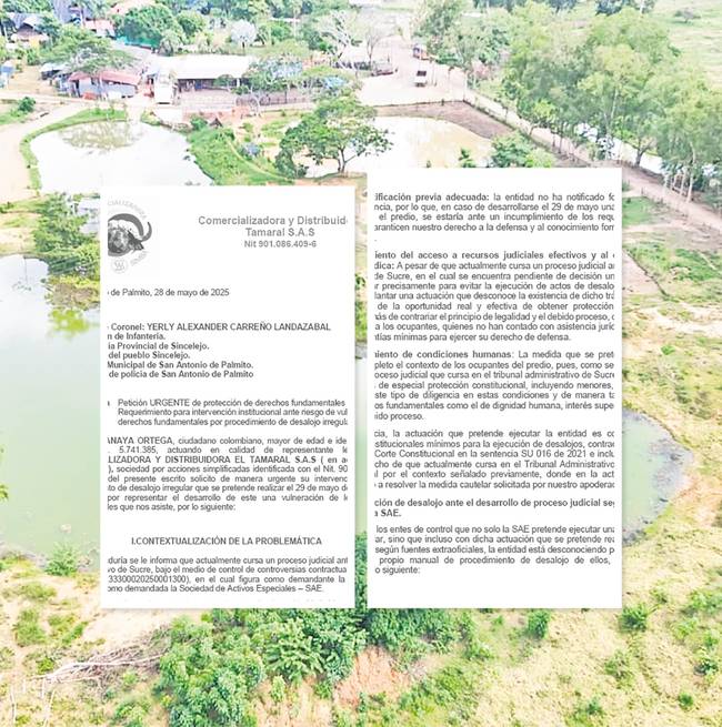 Arrendataria de Simba denuncia vulneración de derechos por la SAE