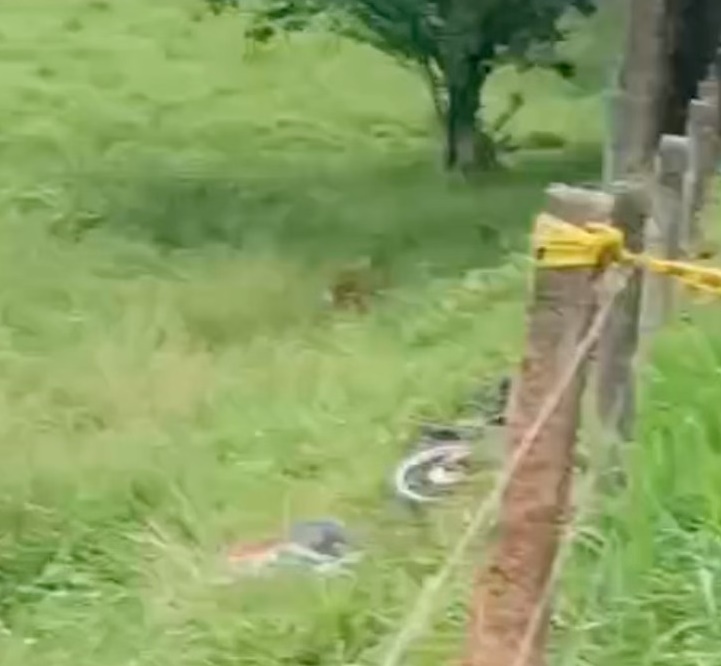 Encontraron un cuerpo sin vida