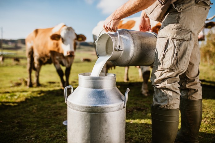Semana Mundial de la Leche, un producto clave para Colombia