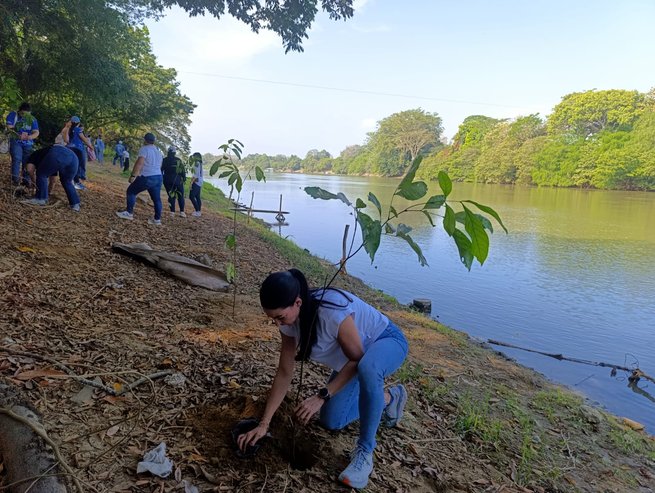 El Sinú, prioridad ambiental en Montería