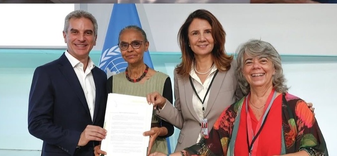 Brasil se une a la gran alianza global por la protección de los manglares