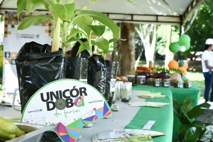 Stand de Unicórdoba, un espacio para la cultura y muestra del potencial científico 
