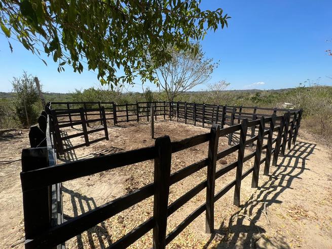 Pequeños productores ya tienen corrales