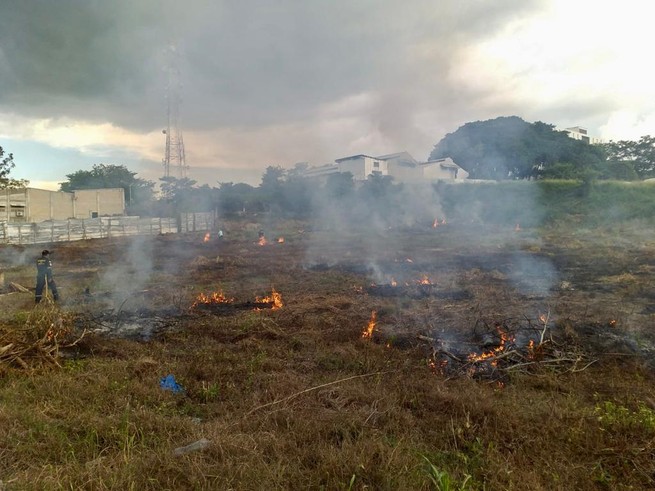 En enero se registró un incendio forestal cada día