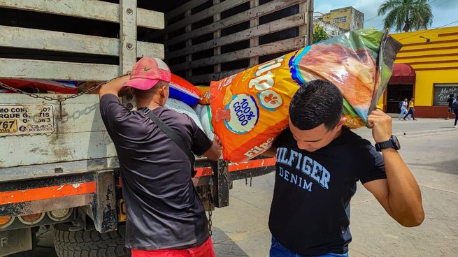 Perros y gatos de la calle tienen alimentos