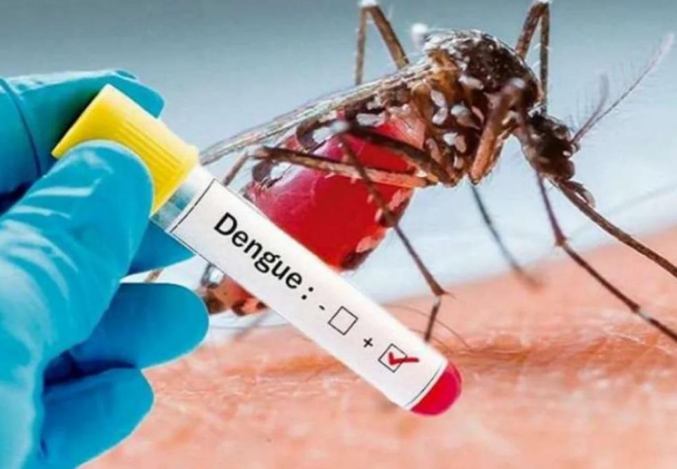 A la par de las IRA se dispara el dengue, van 4 muertes