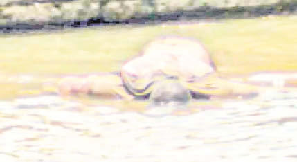 Iba flotando por el río Sinú