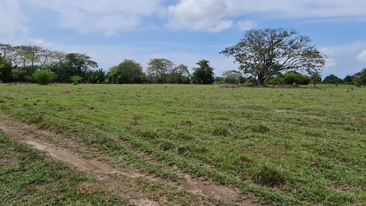Alarma en Sucre por estafas en asuntos de tierras