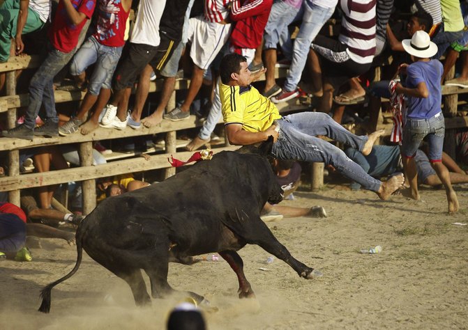 Se cayó proyecto, pero animalistas seguirán dando 'mantazos'