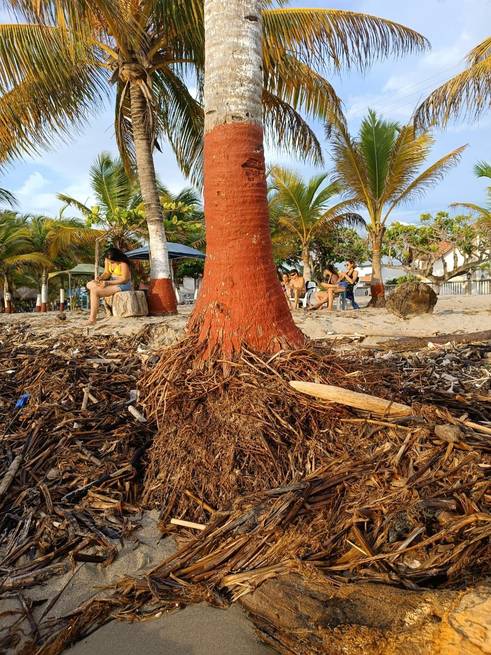 Erosión amenaza playas de Coveñas, y ¿la plata del Pacto del Golfo?