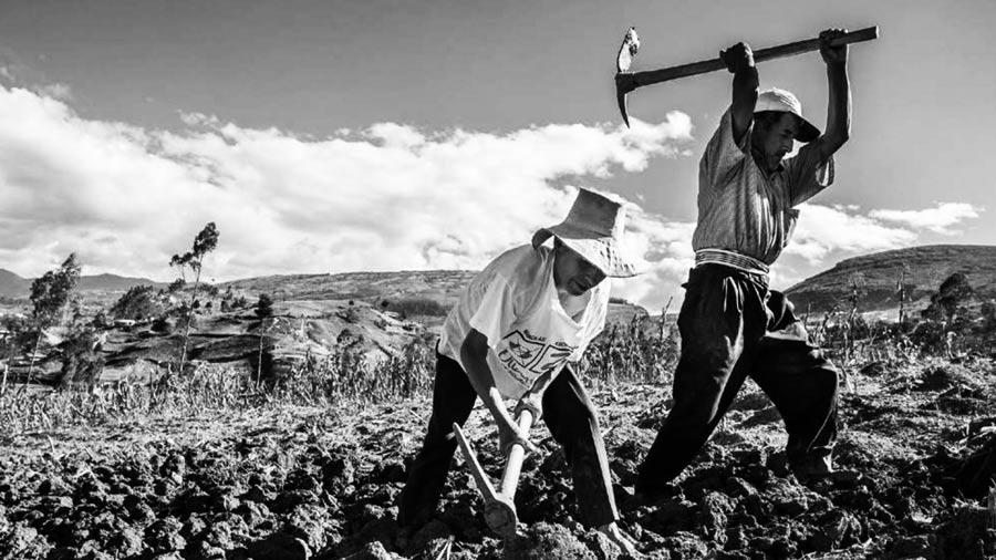 Campesinos: invitados a diálogos con el ELN