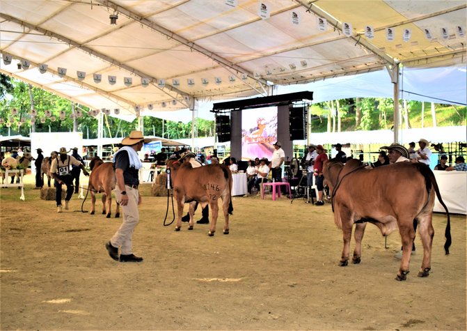 Exitoso arranque de la Feria Agropecuaria de Sincelejo