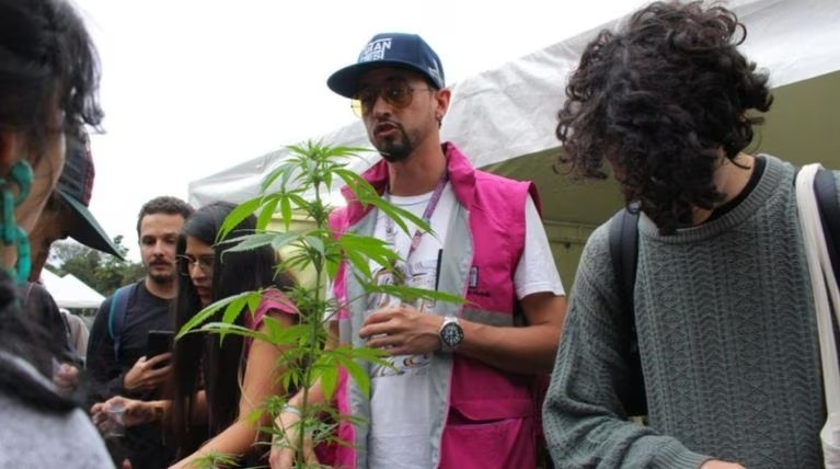Polémica por invitación de la Alcaldía de Medellín a sembrar marihuana