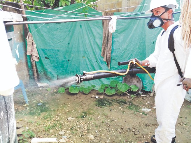 Secretaría de Salud inicia estrategia contra el dengue