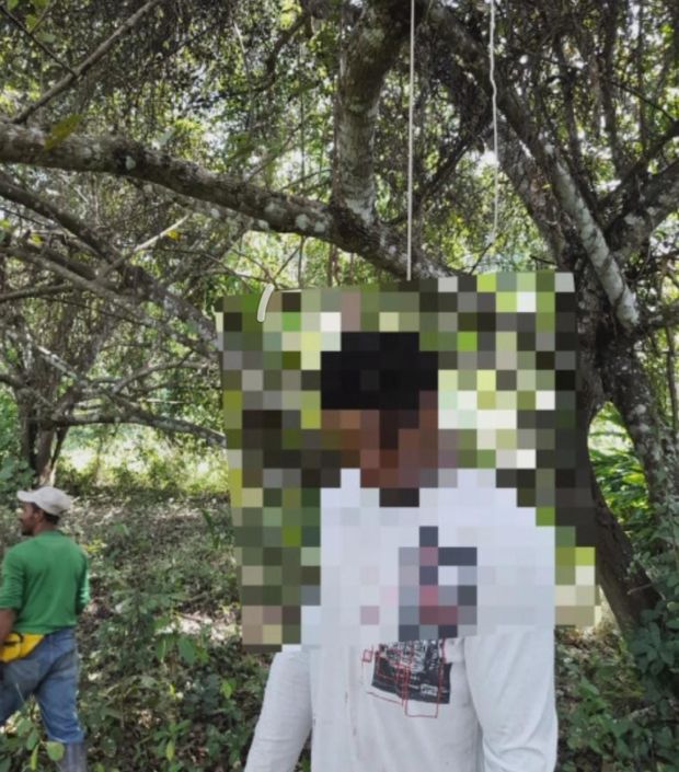 Lo encontraron colgado en la rama de un árbol
