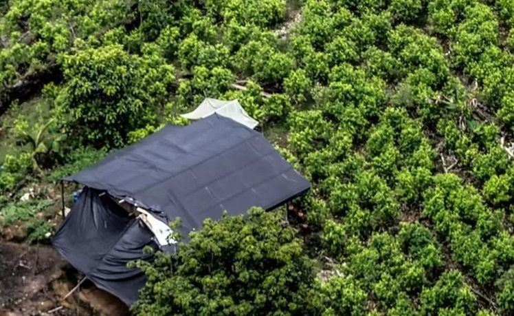 Destruyen uno de los laboratorios de droga más grandes en el Catatumbo