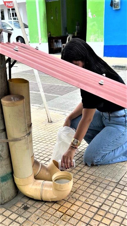En silencio velan por los amigos de cuatro patas