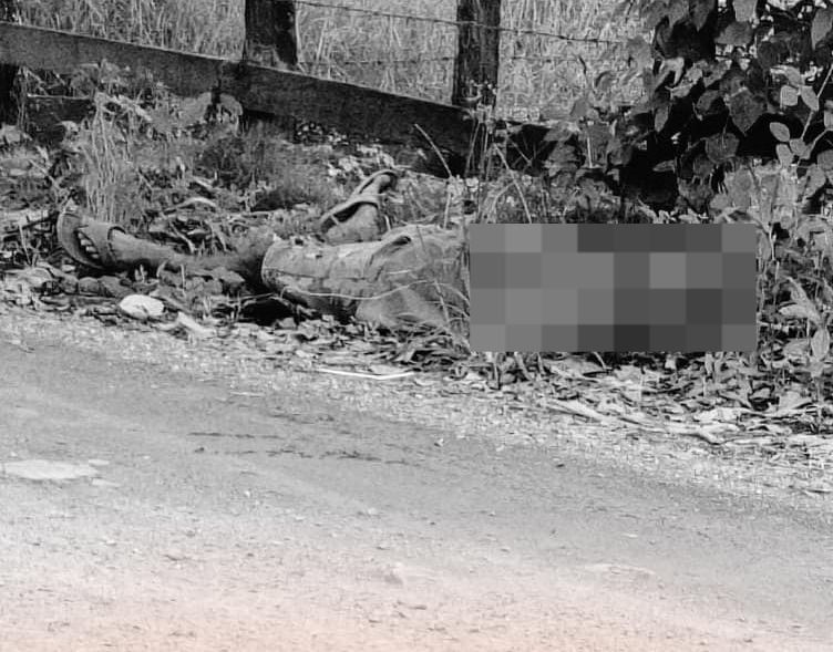Lo encontraron tirado en la carretera