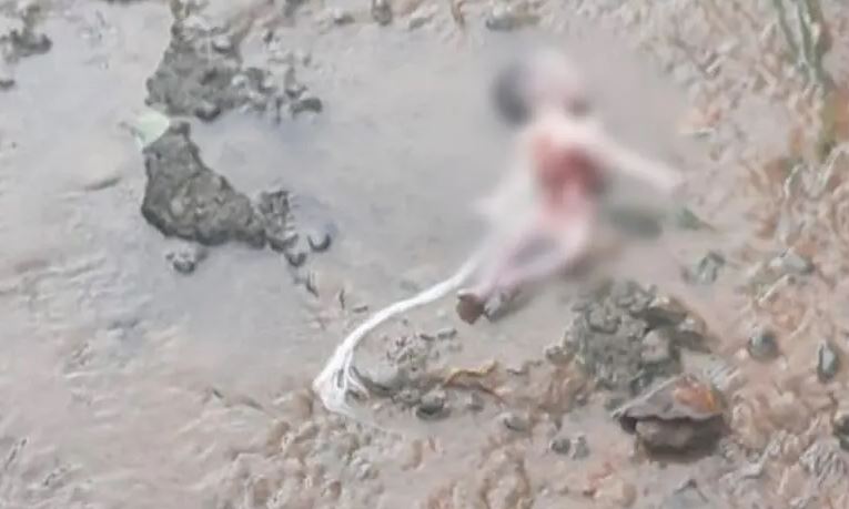 Lamentable: Hallan feto a orillas de un caño en Planeta Rica