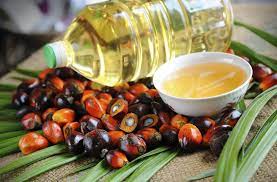 Aumentó producción de aceite de palma