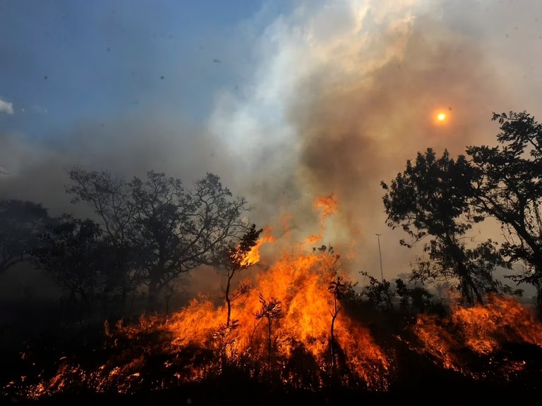 MinAmbiente alerta por incendios forestales ante clima seco