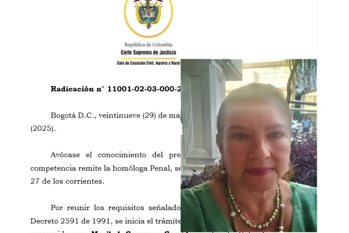 Corte Suprema define tutela por caída de la consulta popular