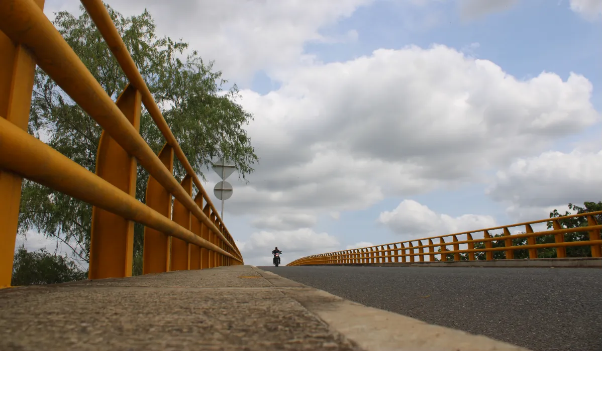 El puente de Valencia, de 'elefante blanco' a ícono
