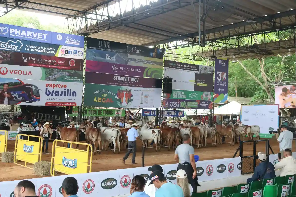 Vitrina genética de alto nivel y un motor para el agro