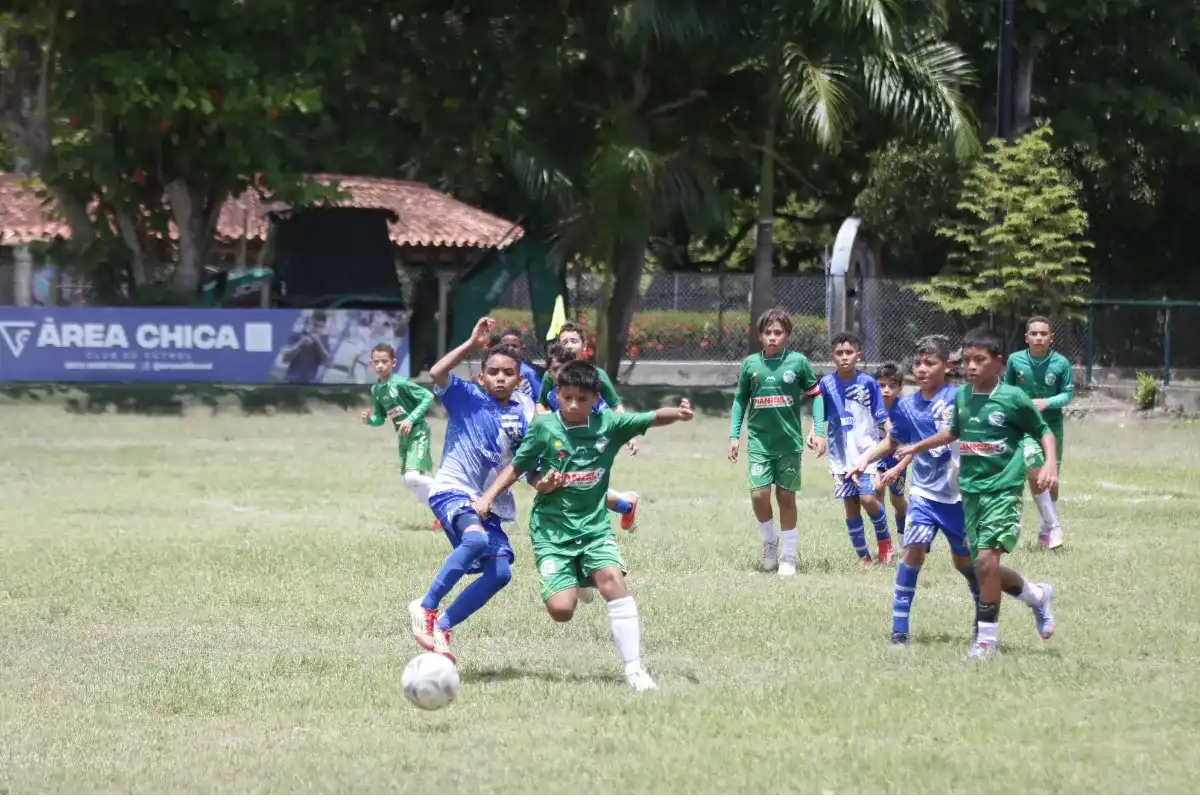 La mesa está servida para conocer a los pequeños campeones