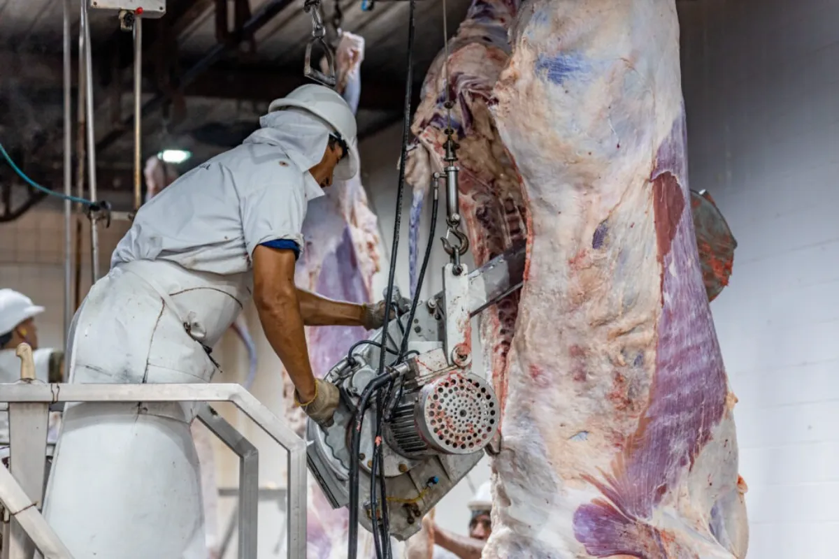 Aumenta el sacrificio clandestino de animales