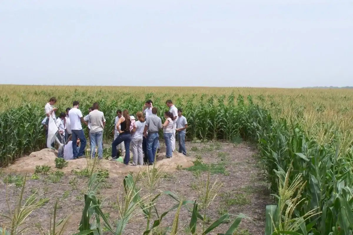 Agroeconomía, saca la cara por Colombia