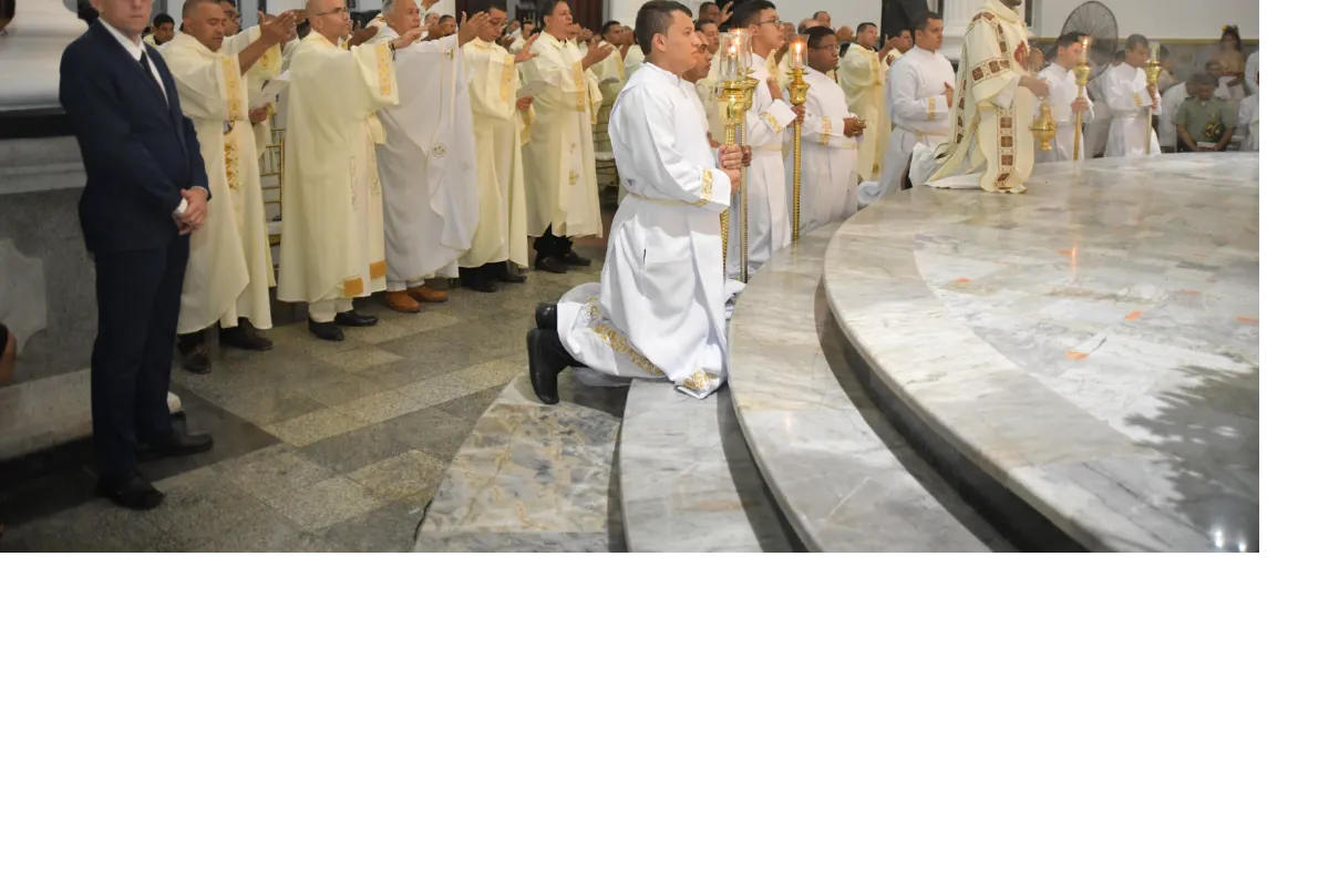 28 sacerdotes ordenados en su misión pastoral