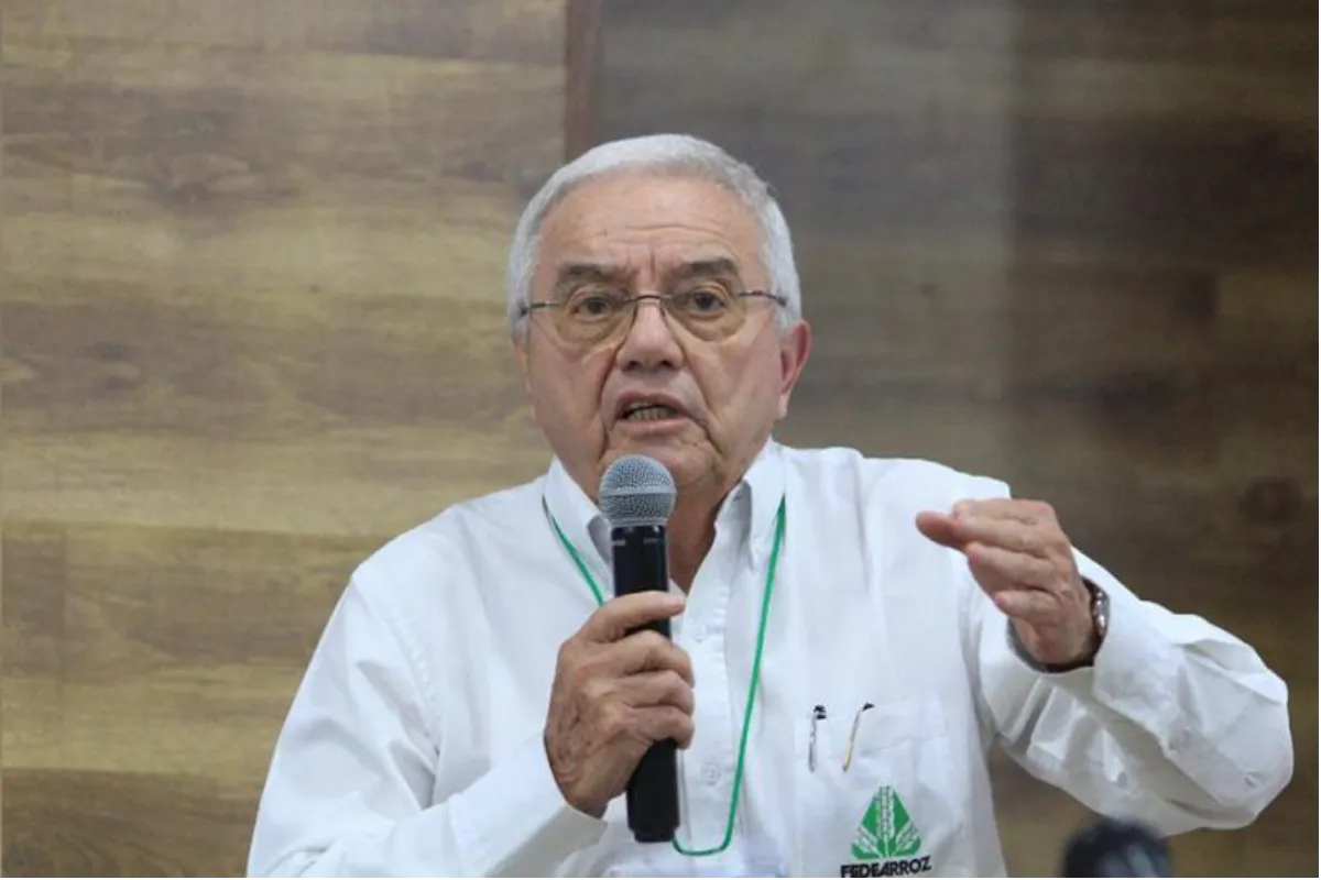Alerta por fuerte caída de precios del arroz
