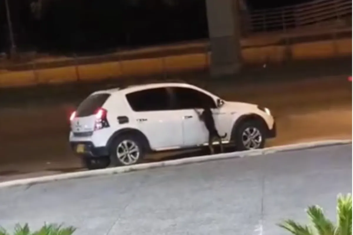 Indignante: Abandonan a un perro en plena vía pública