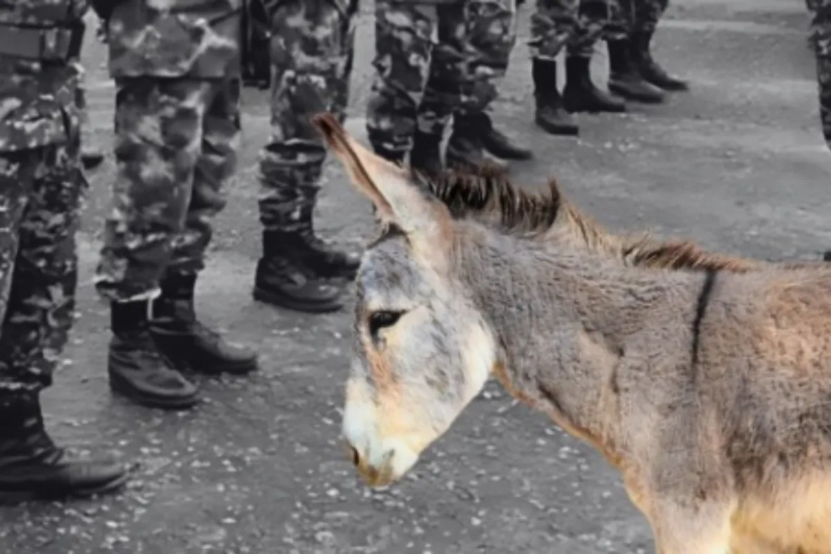 Bajo Cauca entre ataques con burro bomba y vehículos incinerados