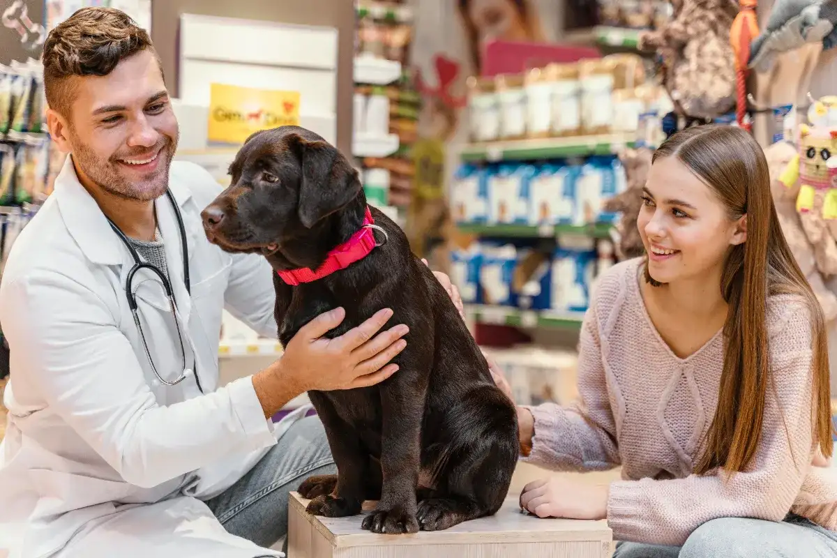 ¿Vale la pena invertir en un seguro veterinario?