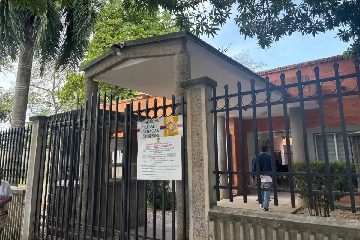 Los atropellaron y murieron