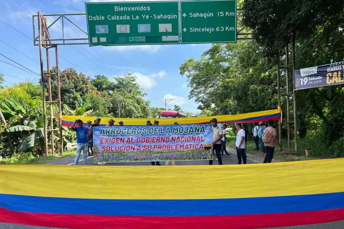 Arroceros siguen firme con el paro y bloqueo en La Y
