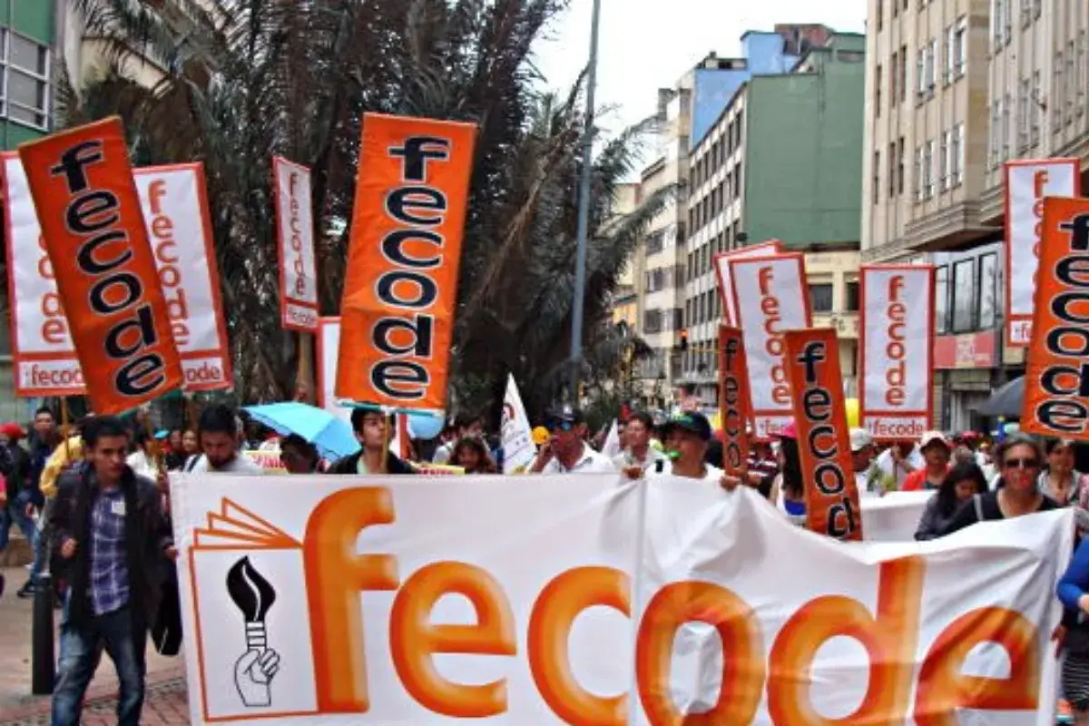 Fecode se dio un 'tiro en el pie'