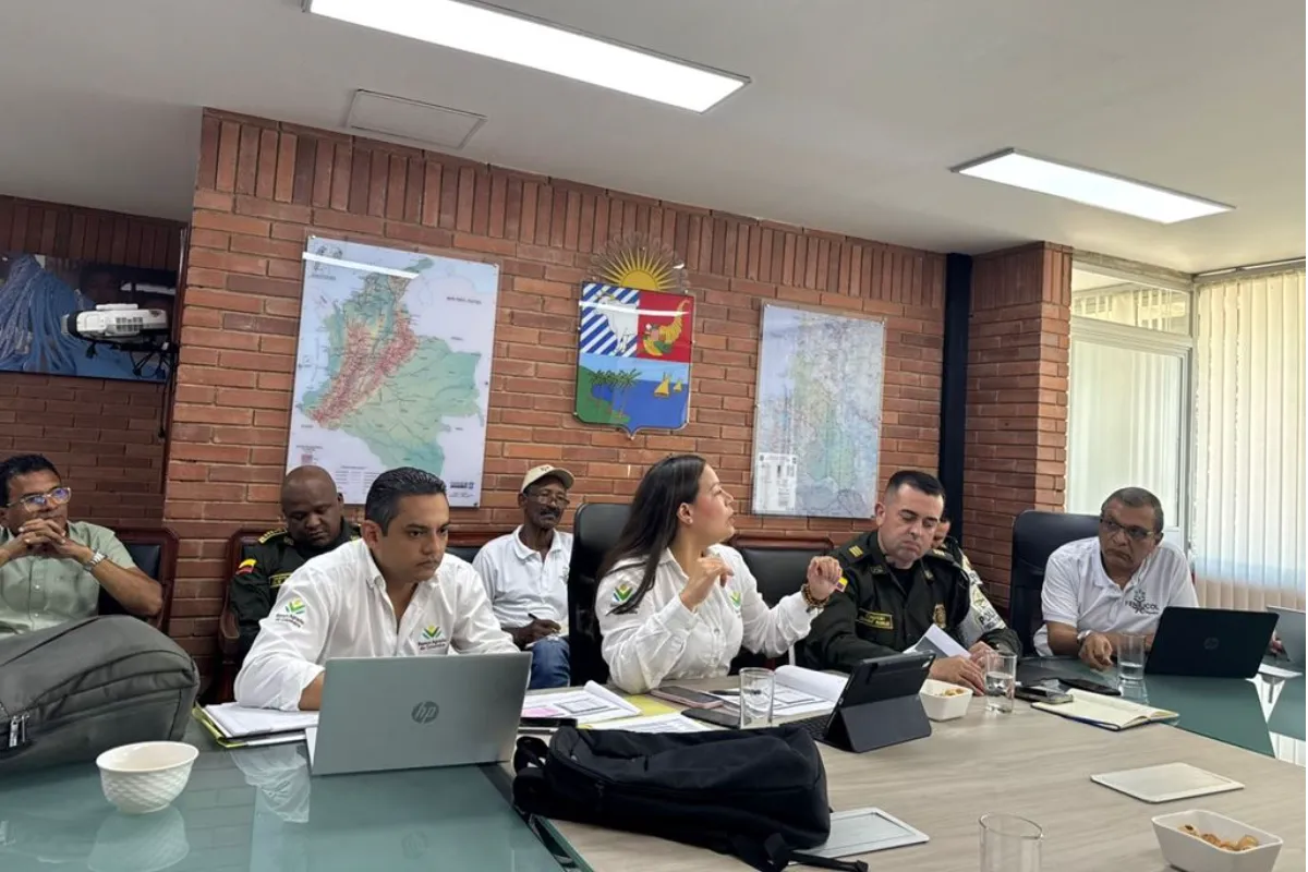 Le apuestan al fortalecimiento de la cadena productiva de yuca en Sucre