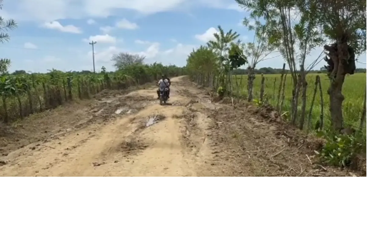 Construcción de Polideportivo, avanza a buen ritmo: Beltrán