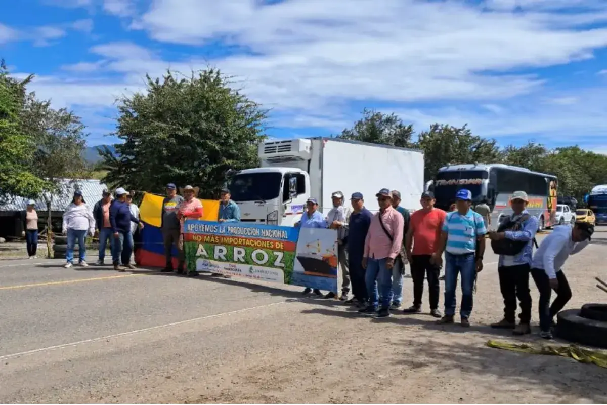 Fin del paro arrocero dependerá de decisión de la industria sobre precio del arroz blanco