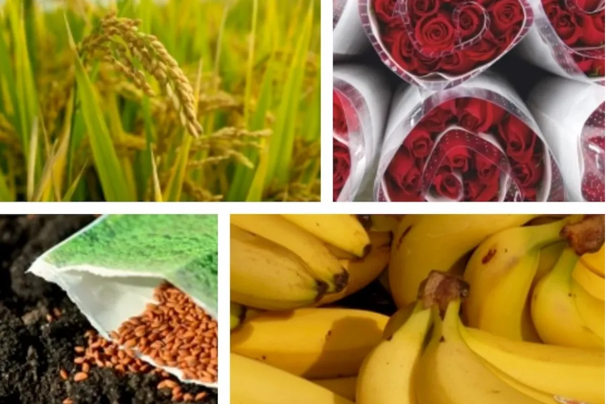 Sectores con más aportes parafiscales