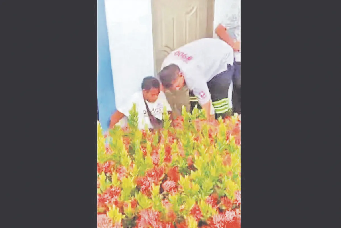 Hombre se estrelló contra un jardín
